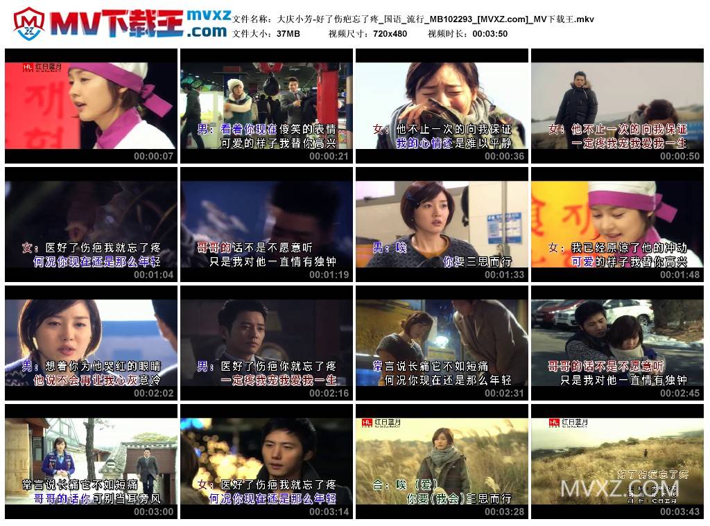 大庆小芳-好了伤疤忘了疼_国语_流行_MB102293